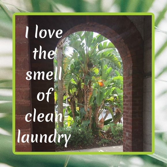 I’m Lauren & I’m happy to share FOXFINDS closet 🦊 - Picture 4 of 5